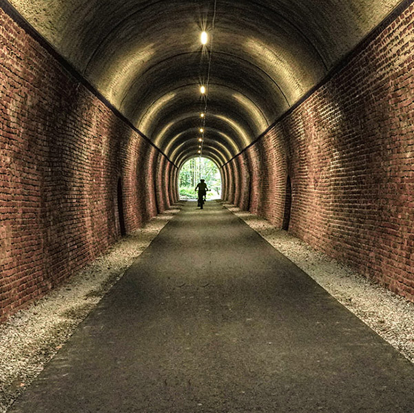 Bilder vom Westerwaldsteig – die Westerwälder Fotofreunde stellen aus