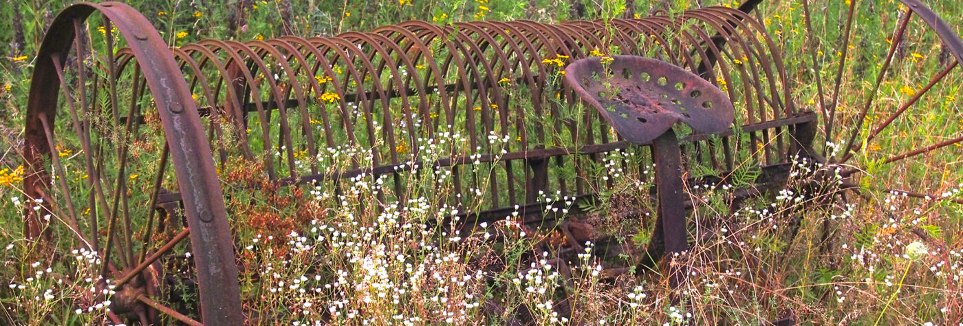 Stöffel-Park-Impressionen