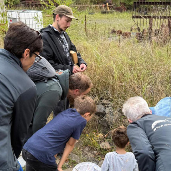 Was krabbelt, fliegt und kriecht im Stöffel-Park?